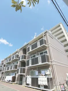 コンドミニオ百舌鳥の画像