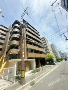 リアルなかもずの画像