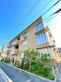 メゾン シュシュの画像