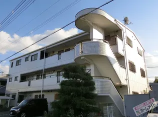 ヒルコートイズミの画像