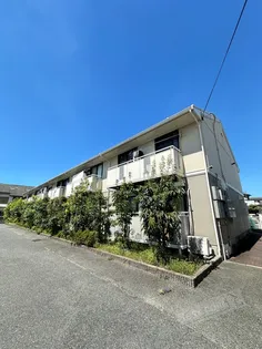 セジュール百舌鳥の画像