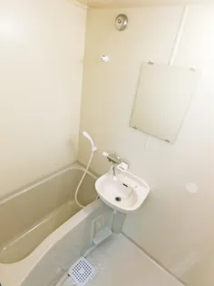 宿院ピアⅡ【4階】の風呂