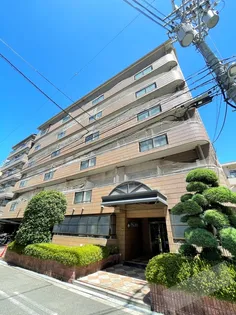 ビブレアビコの画像