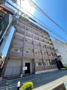 プリメイラ ヴェラの画像