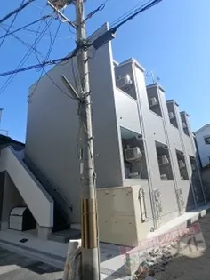 フクシア アベニューの画像