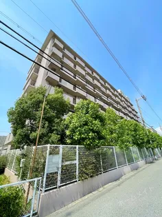 CASSIA南住吉【2階】の外観