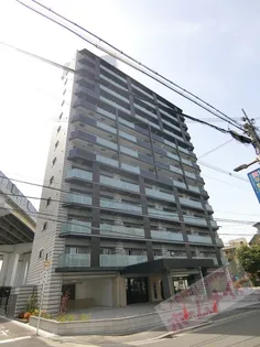 KAUNIS HIRANOの画像