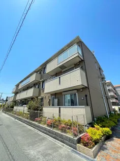 かるみあの画像