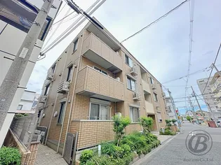 ハイムマモリの画像