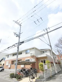 カーサ リーノの画像