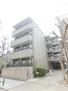 グローリー 11の画像