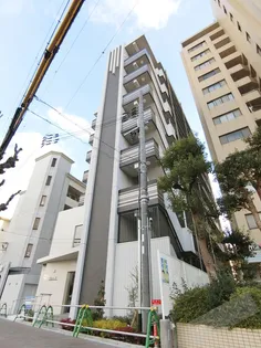 ダイレ エヌの画像