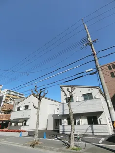 シービヤンネトールの画像