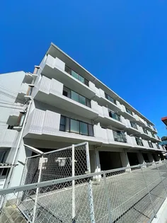 セゾンアルビレオ【4階】の外観