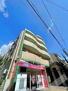 グレイスアベリアの画像