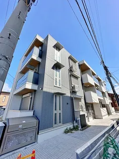 PINO SOLANAの画像