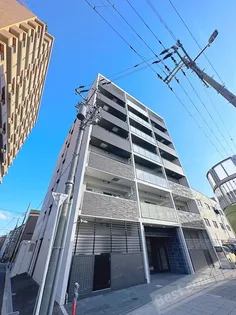 カウニスルーチェの画像