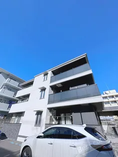パートリア ネモフィラの画像
