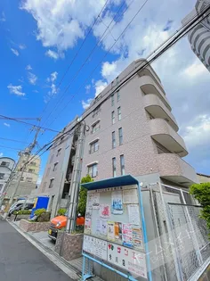 イルマーレの画像