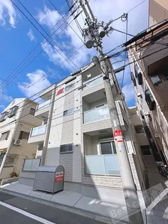 F ASECIA MIRAの画像