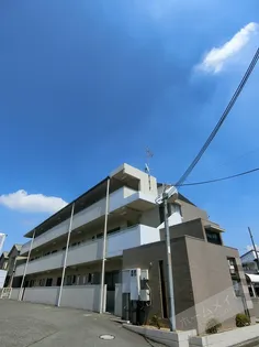 アミール西野の画像