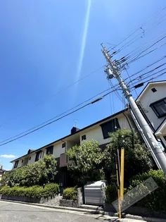 ドミールの画像