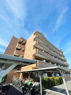 M’s【5階】の外観