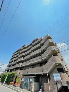 フェリーチェ和泉の画像