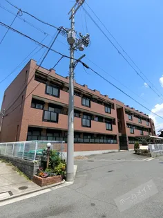 サングレイスIの画像