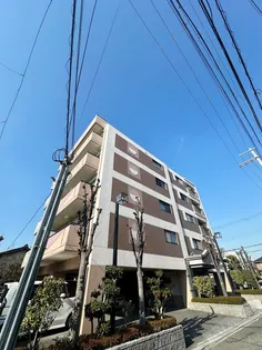 シャルマンエイト【5階】の外観