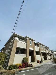 シェーネ 康の画像