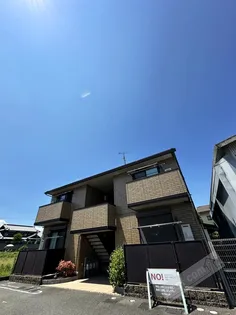 シャルムポポの画像