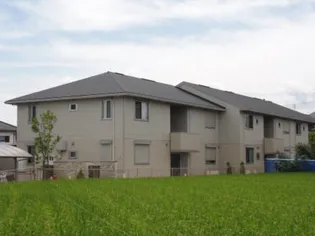 アンジュールの画像