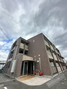 フェリスウラタの画像