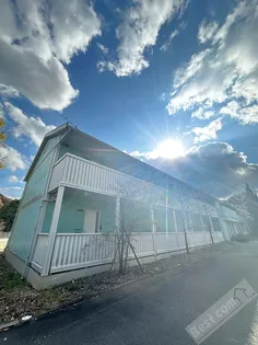 プチ グリーンの画像