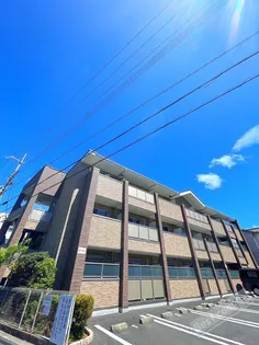 コーラル ガーデンの画像