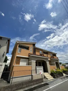 アップヒル ロジェの画像