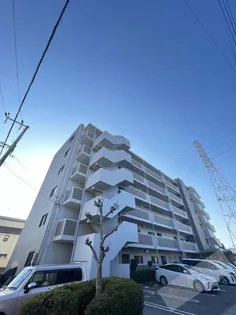 サンパティークフロールの画像