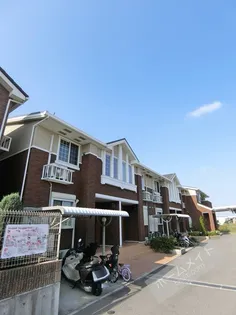 クリスタルブライトの画像