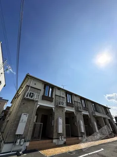 パイン ツリーの画像