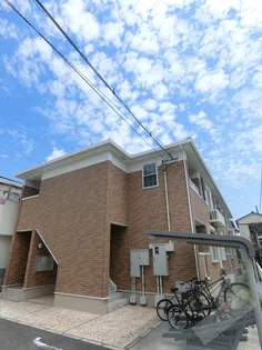 チョコレートの画像