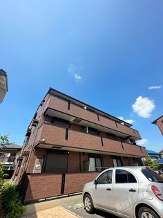 カンフリエ ウエストの画像