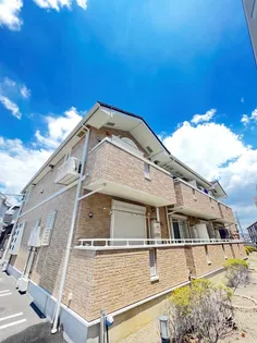 シーカンⅡの画像