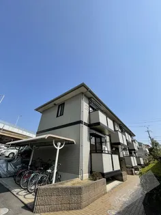 グリーンコートの画像