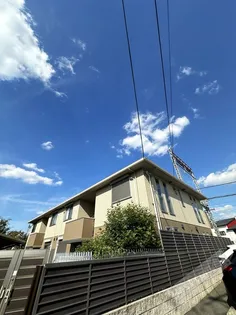 プラムツリーの画像