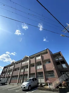 クリスタルウイング輝の画像