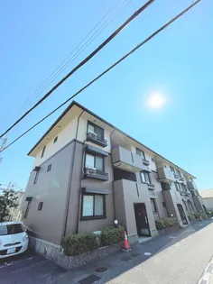 メゾンボナールの画像