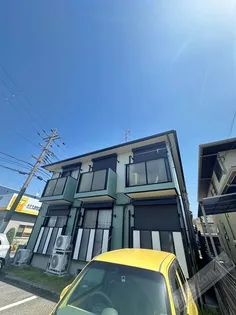 カマールMの画像