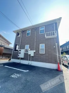 ブルーローズの画像