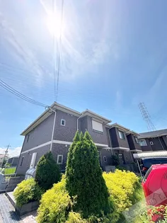 ソフィア Bの画像